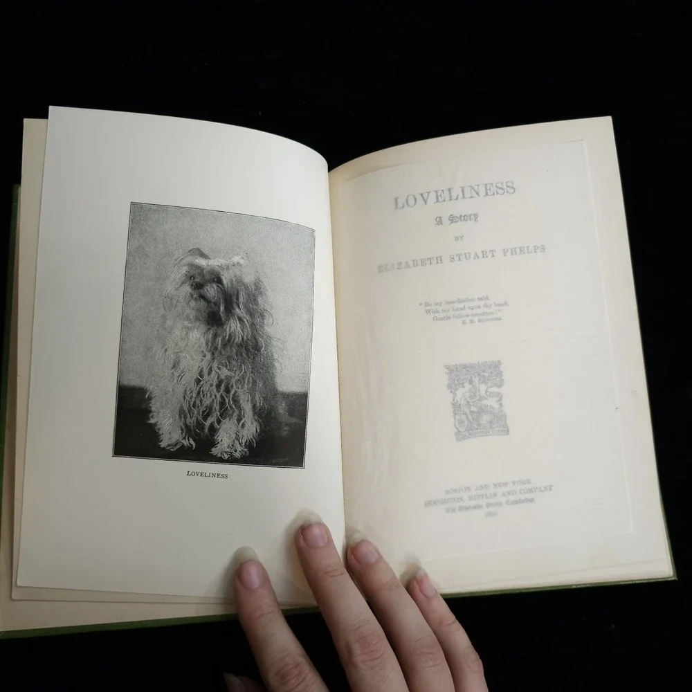 Loveliness By Elizabeth Stuart Phelps Green Book w/ Dog 1899 Antiquarian Novel